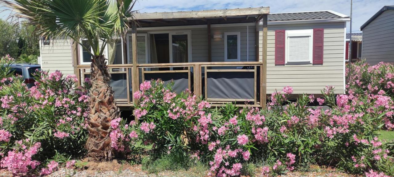 Mobil Home Palmiers 1 Valras-Plage Ngoại thất bức ảnh